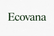 Ecovana - Inicio